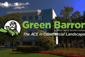 Green Barron Lawnscapes